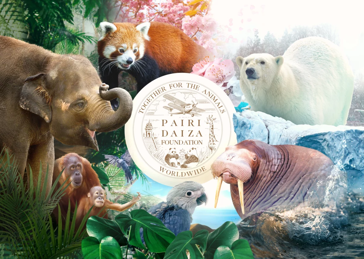 PAIRI DAIZA HALLOWEEN <br> DIMANCHE 19 OCTOBRE